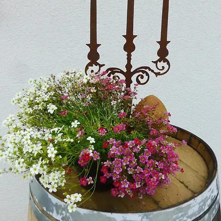 公寓 Winzerlodge, Kirchberg *