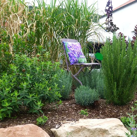 Winzerlodge, Kirchberg * Gleiszellen-Gleishorbach