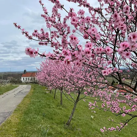 Apartamento Winzerlodge, Kirchberg