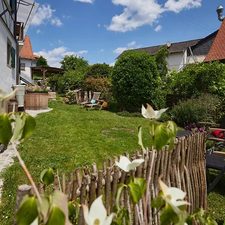 Appartement Winzerlodge, Kirchberg *