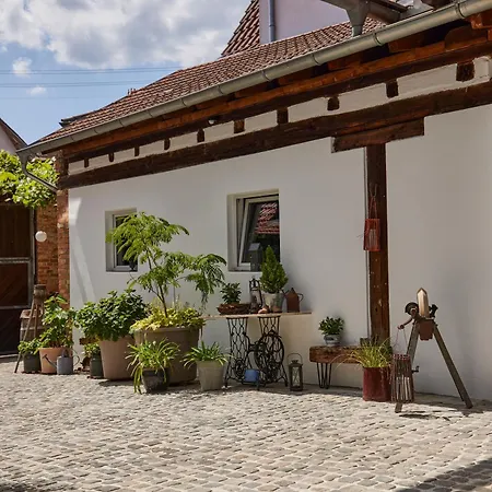 Appartement Winzerlodge, Kirchberg *