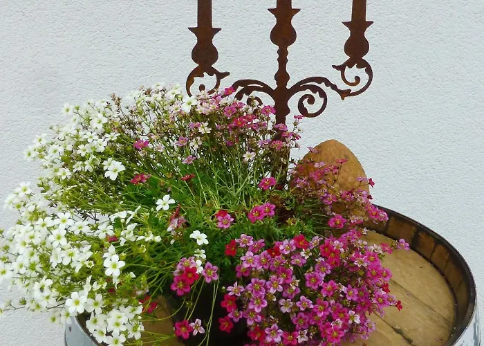 아파트 Winzerlodge, Kirchberg *