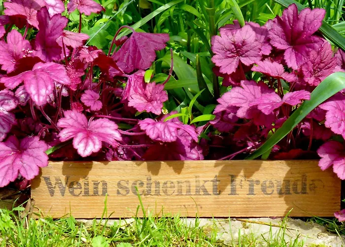 Apartamento Winzerlodge, Kirchberg Gleiszellen-Gleishorbach