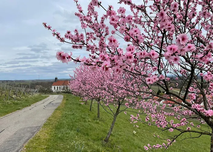 Appartement Winzerlodge, Kirchberg
